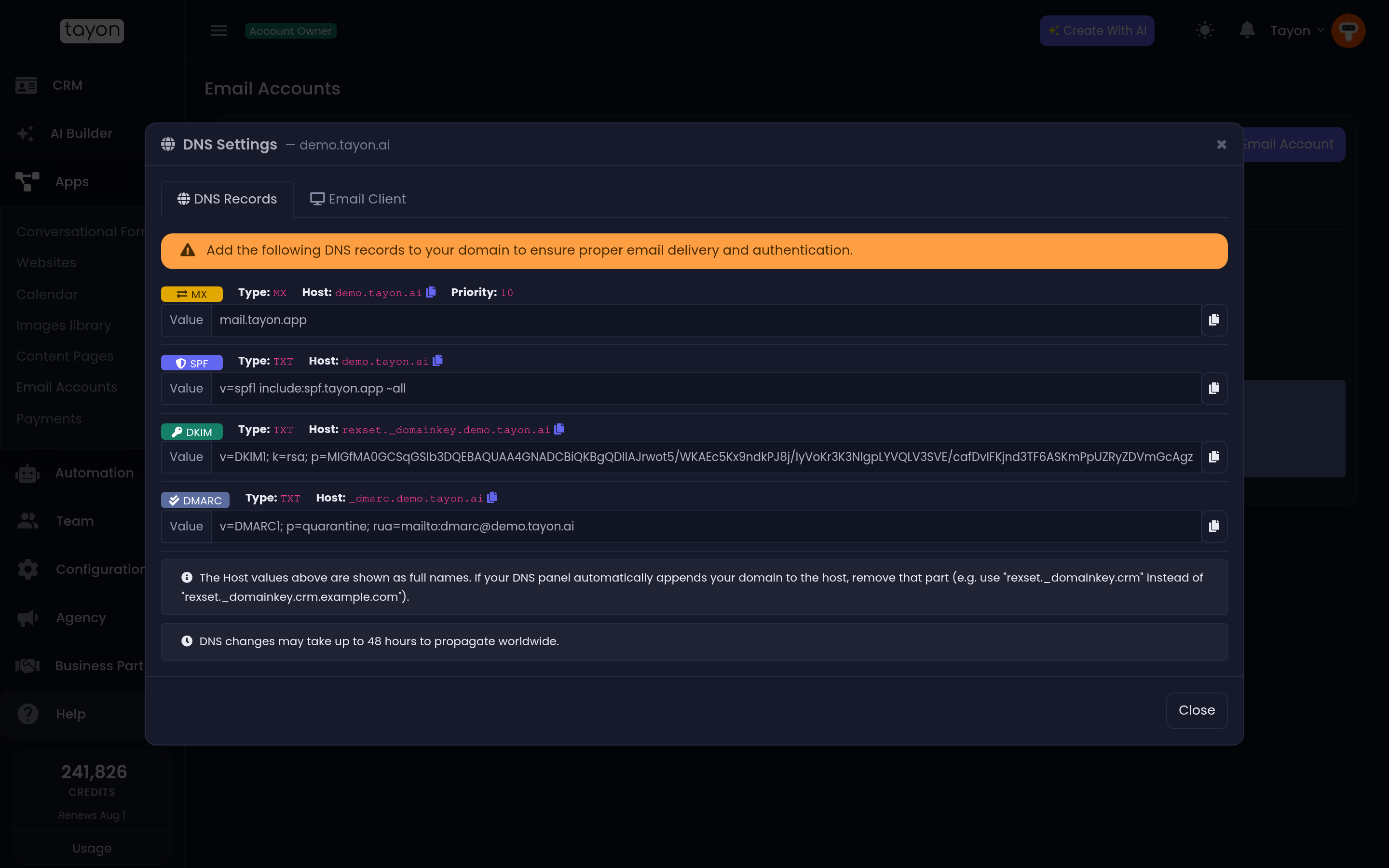 The DNS Settings panel, with the records to copy